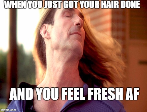 WHEN YOU JUST GOT YOUR HAIR DONE; AND YOU FEEL FRESH AF | image tagged in hair,fabio,wind,that moment when you just got you hair done,new hairstyle,haircut | made w/ Imgflip meme maker