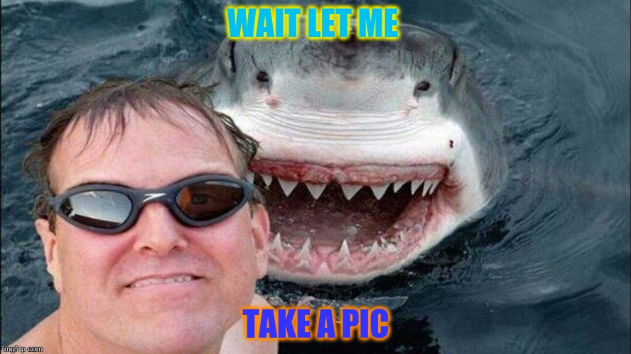 Shark | WAIT LET ME; TAKE A PIC | image tagged in creepy | made w/ Imgflip meme maker