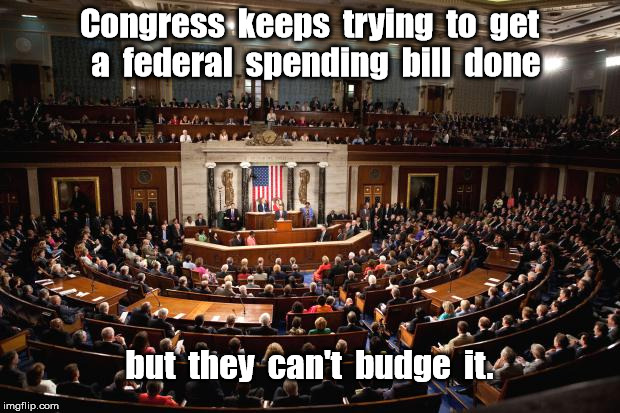 Congress budge federal spending bill | Congress  keeps  trying  to  get  a  federal  spending  bill  done; but  they  can't  budge  it. | image tagged in congress,budget,federal spending | made w/ Imgflip meme maker