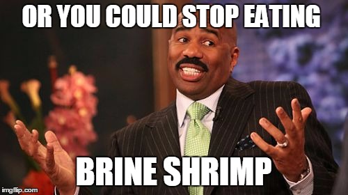 Steve Harvey Meme | OR YOU COULD STOP EATING BRINE SHRIMP | image tagged in memes,steve harvey | made w/ Imgflip meme maker