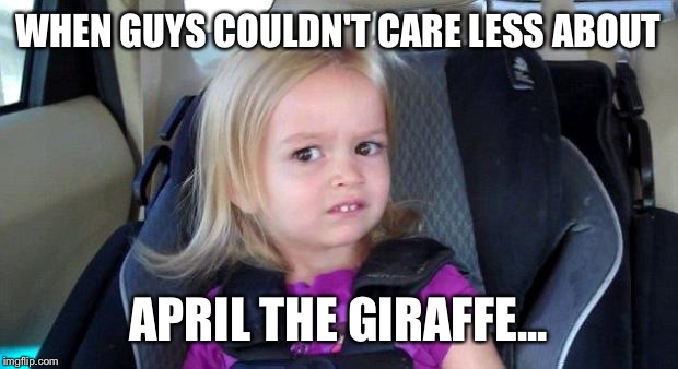 women these days | WHEN GUYS COULDN'T CARE LESS ABOUT; APRIL THE GIRAFFE... | image tagged in women these days | made w/ Imgflip meme maker