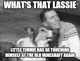 Got to hand it to him. .. | WHAT'S THAT LASSIE; LITTLE TIMMIE HAS BE TOUCHING HIMSELF AT THE OLD MINESHAFT AGAIN | image tagged in memes,funny memes,lassie,first world problems | made w/ Imgflip meme maker