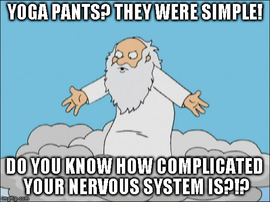 YOGA PANTS? THEY WERE SIMPLE! DO YOU KNOW HOW COMPLICATED YOUR NERVOUS SYSTEM IS?!? | made w/ Imgflip meme maker