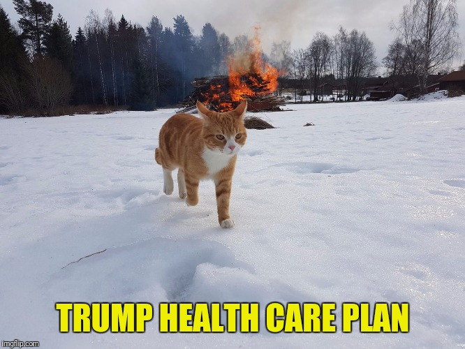 TRUMP HEALTH CARE PLAN | image tagged in trump,obamacare,aca | made w/ Imgflip meme maker