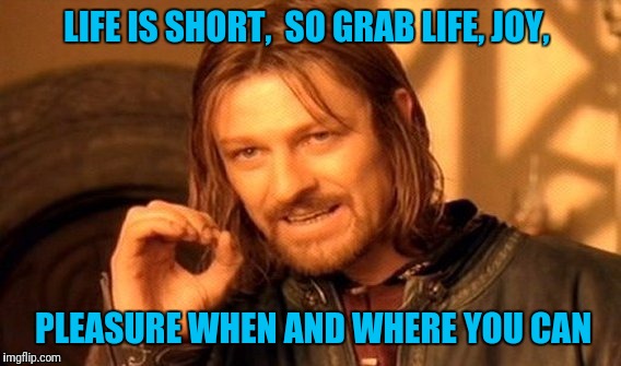 One Does Not Simply Meme | LIFE IS SHORT,  SO GRAB LIFE, JOY, PLEASURE WHEN AND WHERE YOU CAN | image tagged in memes,one does not simply | made w/ Imgflip meme maker