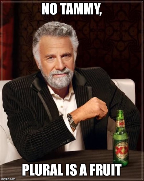 The Most Interesting Man In The World Meme | NO TAMMY, PLURAL IS A FRUIT | image tagged in memes,the most interesting man in the world | made w/ Imgflip meme maker