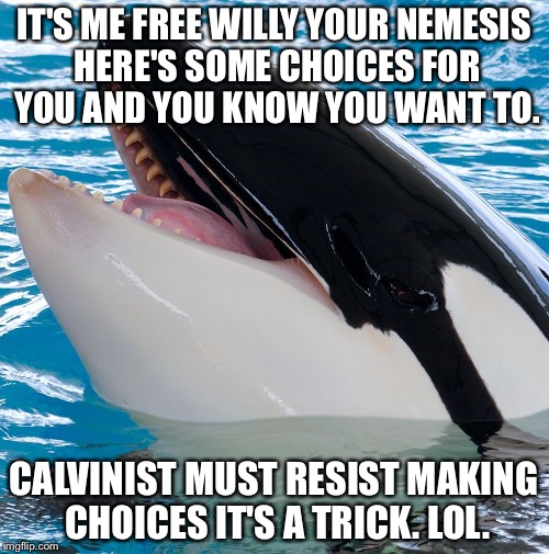 Free Willy 3  | IT'S ME FREE WILLY YOUR NEMESIS HERE'S SOME CHOICES FOR YOU AND YOU KNOW YOU WANT TO. CALVINIST MUST RESIST MAKING CHOICES IT'S A TRICK. LOL. | image tagged in free willy 3 | made w/ Imgflip meme maker