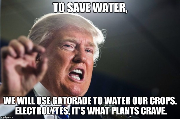 donald trump | TO SAVE WATER, WE WILL USE GATORADE TO WATER OUR CROPS. ELECTROLYTES, IT'S WHAT PLANTS CRAVE. | image tagged in donald trump | made w/ Imgflip meme maker