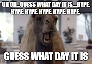Hump Day Camel | UH OH...GUESS WHAT DAY IT IS....HYPE, HYPE, HYPE, HYPE, HYPE, HYPE. GUESS WHAT DAY IT IS | image tagged in hump day camel | made w/ Imgflip meme maker