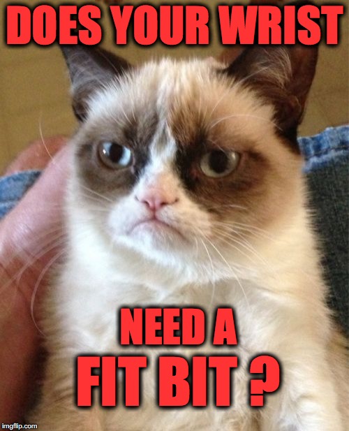 Grumpy Cat Meme | DOES YOUR WRIST; NEED A; FIT BIT ? | image tagged in memes,grumpy cat | made w/ Imgflip meme maker