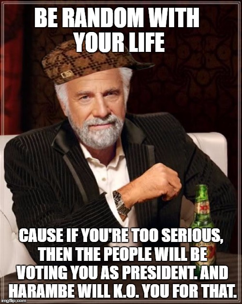 The Most Interesting Man In The World | BE RANDOM WITH YOUR LIFE; CAUSE IF YOU'RE TOO SERIOUS, THEN THE PEOPLE WILL BE VOTING YOU AS PRESIDENT. AND HARAMBE WILL K.O. YOU FOR THAT. | image tagged in memes,the most interesting man in the world,scumbag | made w/ Imgflip meme maker