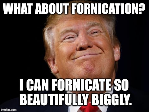 WHAT ABOUT FORNICATION? I CAN FORNICATE SO BEAUTIFULLY BIGGLY. | made w/ Imgflip meme maker