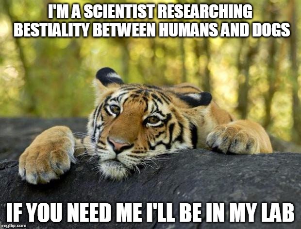 confession tiger hi res | I'M A SCIENTIST RESEARCHING BESTIALITY BETWEEN HUMANS AND DOGS; IF YOU NEED ME I'LL BE IN MY LAB | image tagged in confession tiger hi res | made w/ Imgflip meme maker