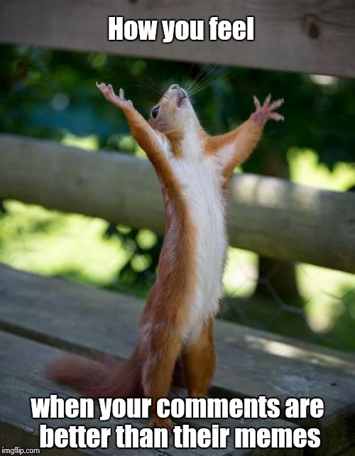 . . . and don't care that they get more upvotes ! | How you feel; when your comments are better than their memes | image tagged in happy squirrel | made w/ Imgflip meme maker