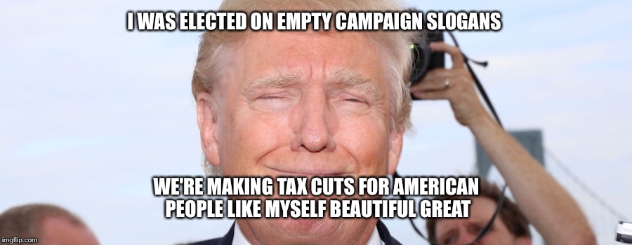 I WAS ELECTED ON EMPTY CAMPAIGN SLOGANS WE'RE MAKING TAX CUTS FOR AMERICAN PEOPLE LIKE MYSELF BEAUTIFUL GREAT | made w/ Imgflip meme maker