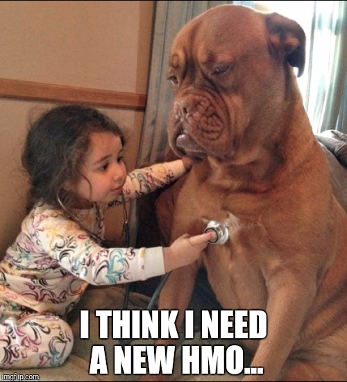I THINK I NEED A NEW HMO... | image tagged in girl listening to dog's heartbeat | made w/ Imgflip meme maker