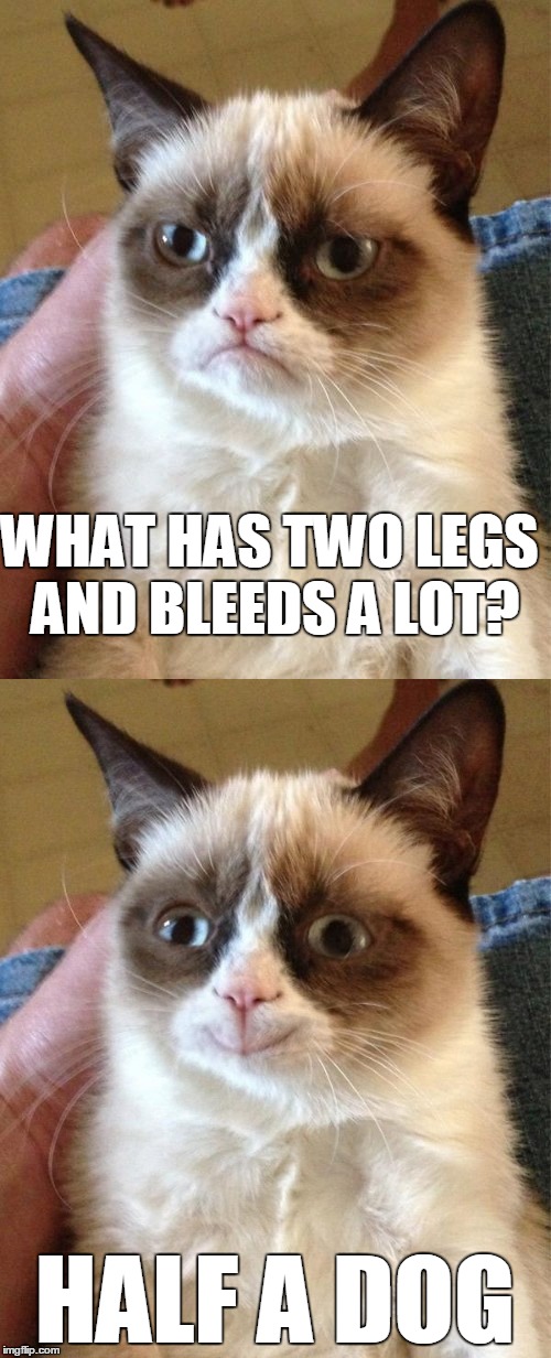 Hot Dog Stand? Not This One | WHAT HAS TWO LEGS AND BLEEDS A LOT? HALF A DOG | image tagged in grumpy cat,bad pun,bad pun grumpy cat | made w/ Imgflip meme maker