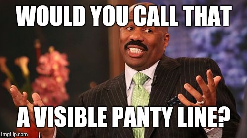 Steve Harvey Meme | WOULD YOU CALL THAT A VISIBLE PANTY LINE? | image tagged in memes,steve harvey | made w/ Imgflip meme maker