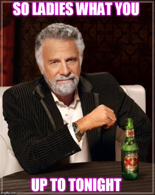 The Most Interesting Man In The World Meme | SO LADIES WHAT YOU; UP TO TONIGHT | image tagged in memes,the most interesting man in the world | made w/ Imgflip meme maker