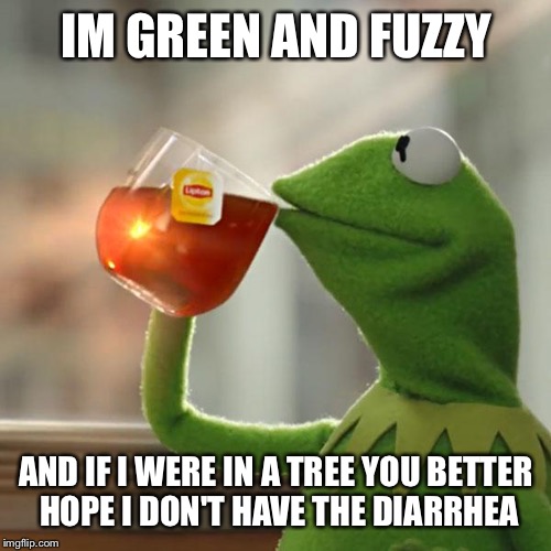 But That's None Of My Business Meme | IM GREEN AND FUZZY AND IF I WERE IN A TREE YOU BETTER HOPE I DON'T HAVE THE DIARRHEA | image tagged in memes,but thats none of my business,kermit the frog | made w/ Imgflip meme maker