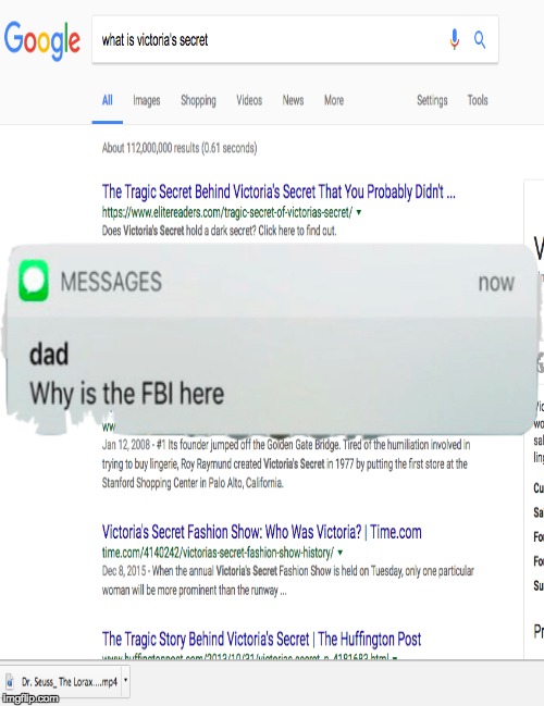 Why is the FBI here | image tagged in fbi,dad joke dog,victoriasecret | made w/ Imgflip meme maker