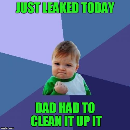 Success Kid Meme | JUST LEAKED TODAY DAD HAD TO CLEAN IT UP IT | image tagged in memes,success kid | made w/ Imgflip meme maker