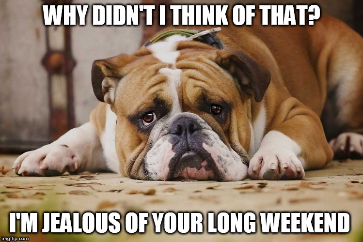 jealous of your weekend  | WHY DIDN'T I THINK OF THAT? I'M JEALOUS OF YOUR LONG WEEKEND | image tagged in sad dog | made w/ Imgflip meme maker