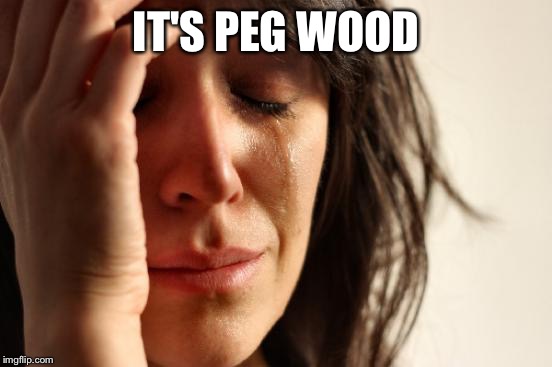 First World Problems Meme | IT'S PEG WOOD | image tagged in memes,first world problems | made w/ Imgflip meme maker