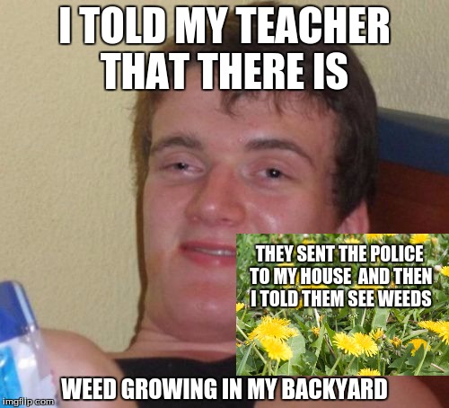 10 Guy Meme | I TOLD MY TEACHER THAT THERE IS; THEY SENT THE POLICE TO MY HOUSE 
AND THEN I TOLD THEM SEE WEEDS; WEED GROWING IN MY BACKYARD | image tagged in memes,10 guy | made w/ Imgflip meme maker
