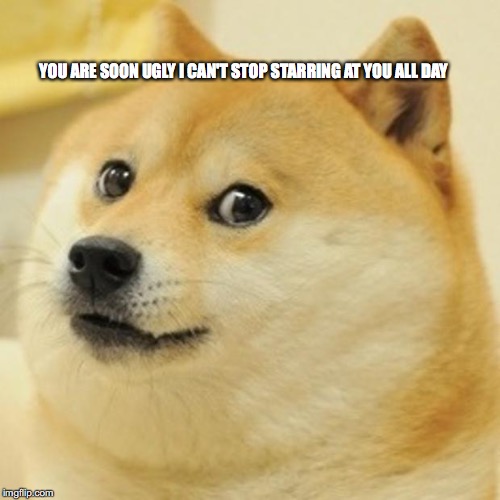 Doge | YOU ARE SOON UGLY I CAN'T STOP STARRING AT YOU ALL DAY | image tagged in memes,doge | made w/ Imgflip meme maker