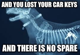 AND YOU LOST YOUR CAR KEYS AND THERE IS NO SPARE | made w/ Imgflip meme maker