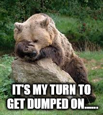 Bear Facepalm | IT'S MY TURN TO GET DUMPED ON...... | image tagged in bear facepalm | made w/ Imgflip meme maker