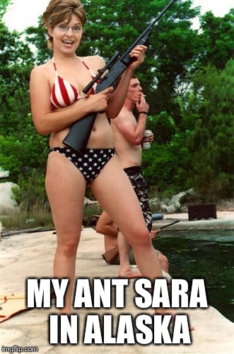 MY ANT SARA IN ALASKA | made w/ Imgflip meme maker