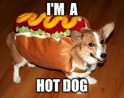 i'm pretty  ~Hot~ | I'M  A; HOT DOG | image tagged in the most interesting dog in the world | made w/ Imgflip meme maker