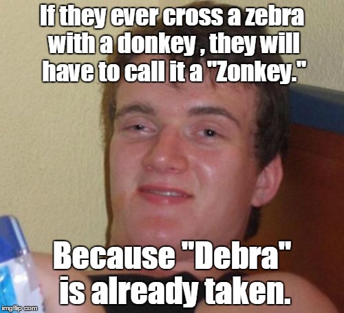 10 Guy Meme | If they ever cross a zebra with a donkey , they will have to call it a "Zonkey."; Because "Debra" is already taken. | image tagged in memes,10 guy | made w/ Imgflip meme maker