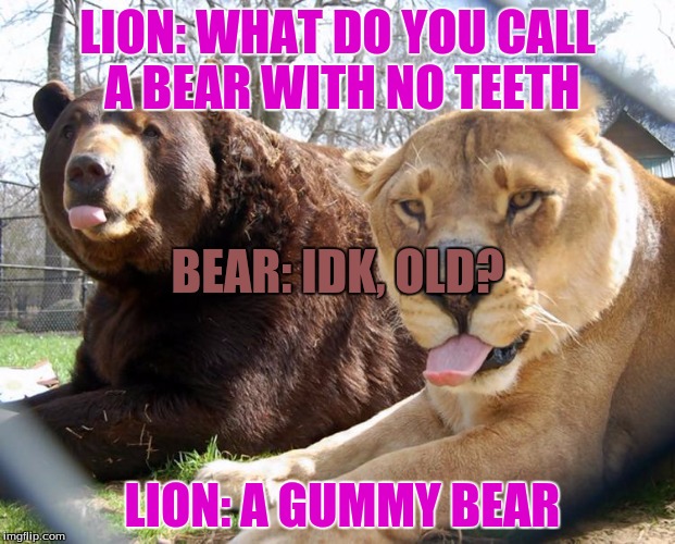 unlikely friends | LION: WHAT DO YOU CALL A BEAR WITH NO TEETH; BEAR: IDK, OLD? LION: A GUMMY BEAR | image tagged in unlikely friends | made w/ Imgflip meme maker