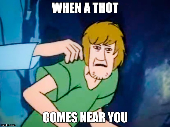 Shaggy meme | WHEN A THOT; COMES NEAR YOU | image tagged in shaggy meme | made w/ Imgflip meme maker