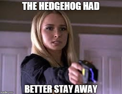 THE HEDGEHOG HAD BETTER STAY AWAY | made w/ Imgflip meme maker