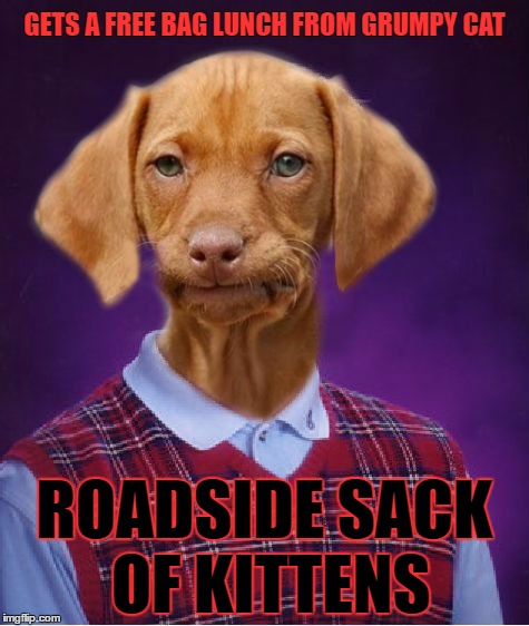 Bad Luck Raydog | GETS A FREE BAG LUNCH FROM GRUMPY CAT; ROADSIDE SACK OF KITTENS | image tagged in bad luck raydog | made w/ Imgflip meme maker