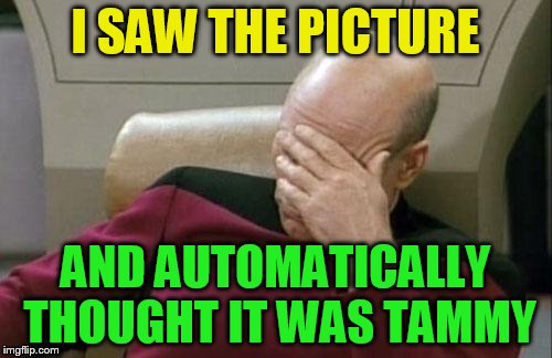 Captain Picard Facepalm Meme | I SAW THE PICTURE AND AUTOMATICALLY THOUGHT IT WAS TAMMY | image tagged in memes,captain picard facepalm | made w/ Imgflip meme maker
