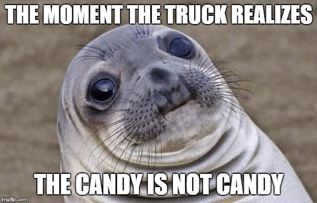 THE MOMENT THE TRUCK REALIZES THE CANDY IS NOT CANDY | image tagged in memes,awkward moment sealion | made w/ Imgflip meme maker