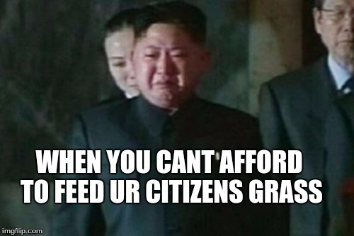 Kim Jong Un Sad | WHEN YOU CANT AFFORD TO FEED UR CITIZENS GRASS | image tagged in memes,kim jong un sad | made w/ Imgflip meme maker