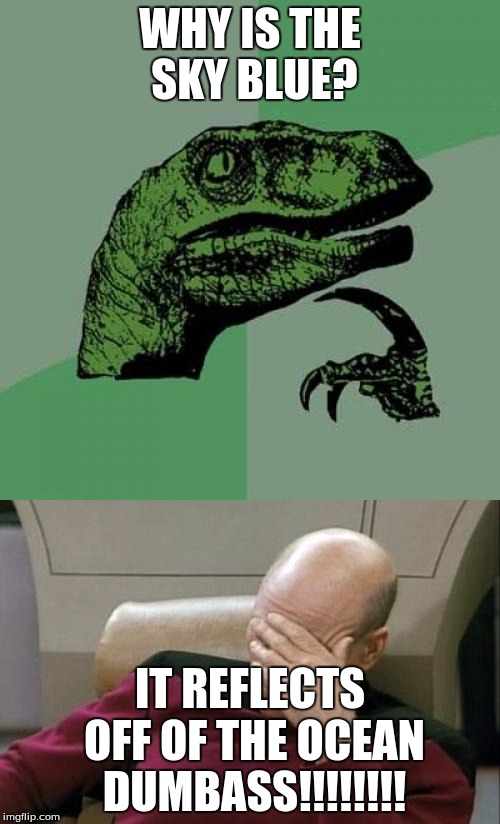 Duh. | WHY IS THE SKY BLUE? IT REFLECTS OFF OF THE OCEAN DUMBASS!!!!!!!! | image tagged in philosoraptor,facepalm | made w/ Imgflip meme maker