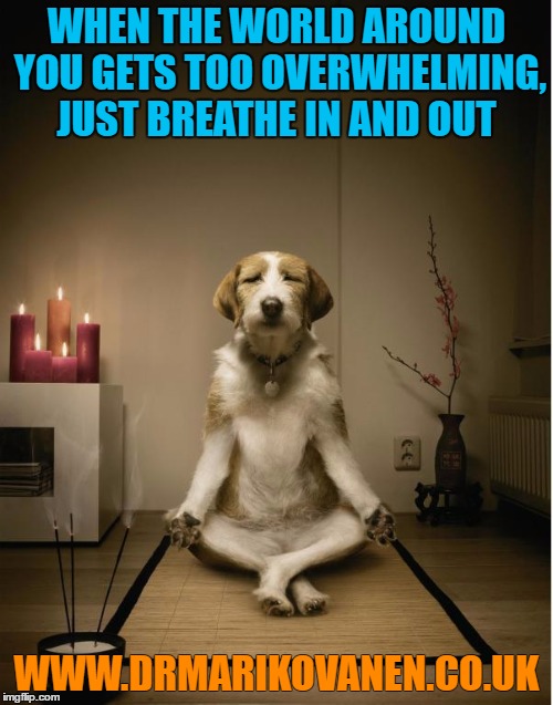 dog meditation funny | WHEN THE WORLD AROUND YOU GETS TOO OVERWHELMING, JUST BREATHE IN AND OUT; WWW.DRMARIKOVANEN.CO.UK | image tagged in dog meditation funny | made w/ Imgflip meme maker