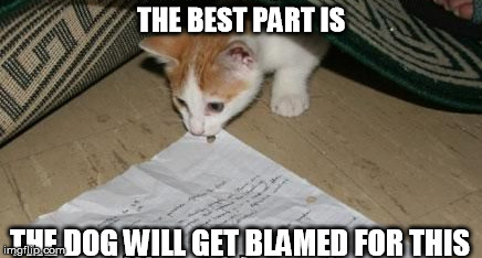 more homework excuses | THE BEST PART IS; THE DOG WILL GET BLAMED FOR THIS | image tagged in dog ate homework,cats,homework,funny homework,funny | made w/ Imgflip meme maker