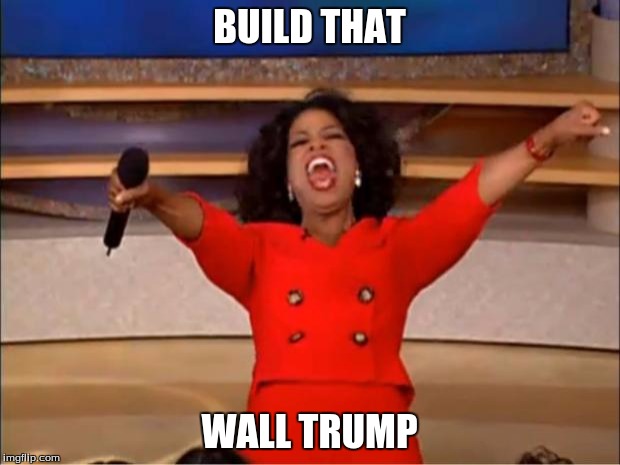 the WALL!! | BUILD THAT; WALL TRUMP | image tagged in memes,oprah you get a | made w/ Imgflip meme maker