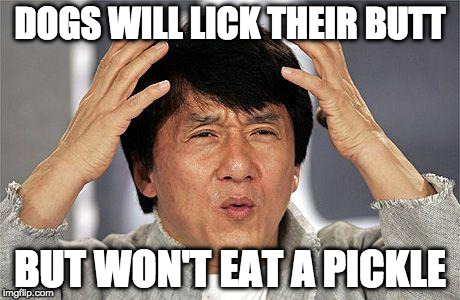 Wonder if dogs think we're missing out. | DOGS WILL LICK THEIR BUTT; BUT WON'T EAT A PICKLE | image tagged in jackie chan what the,butt,dog,pickle,bacon | made w/ Imgflip meme maker