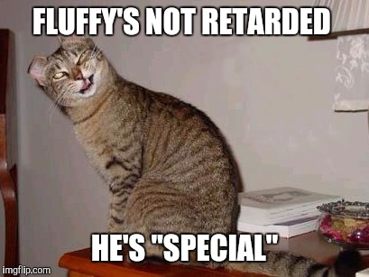 Something special | FLUFFY'S NOT RETARDED; HE'S "SPECIAL" | image tagged in cats | made w/ Imgflip meme maker