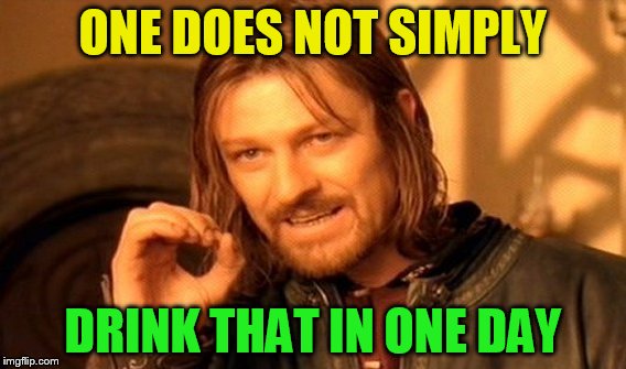 One Does Not Simply Meme | ONE DOES NOT SIMPLY DRINK THAT IN ONE DAY | image tagged in memes,one does not simply | made w/ Imgflip meme maker