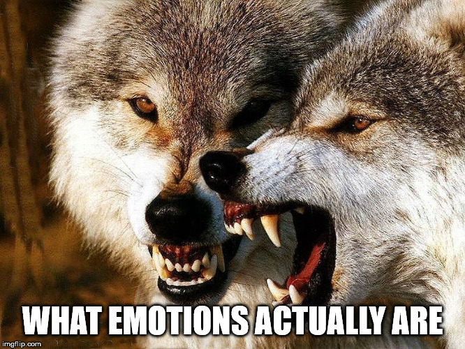 Snarling Wolves | WHAT EMOTIONS ACTUALLY ARE | image tagged in memes,snarling,wolf,wolves | made w/ Imgflip meme maker